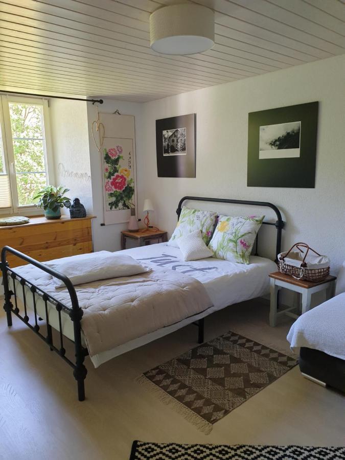 Roches Agreable Chambre D'Hotes, Au Calme, Dans La Nature מראה חיצוני תמונה