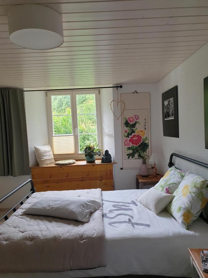 Roches Agreable Chambre D'Hotes, Au Calme, Dans La Nature מראה חיצוני תמונה
