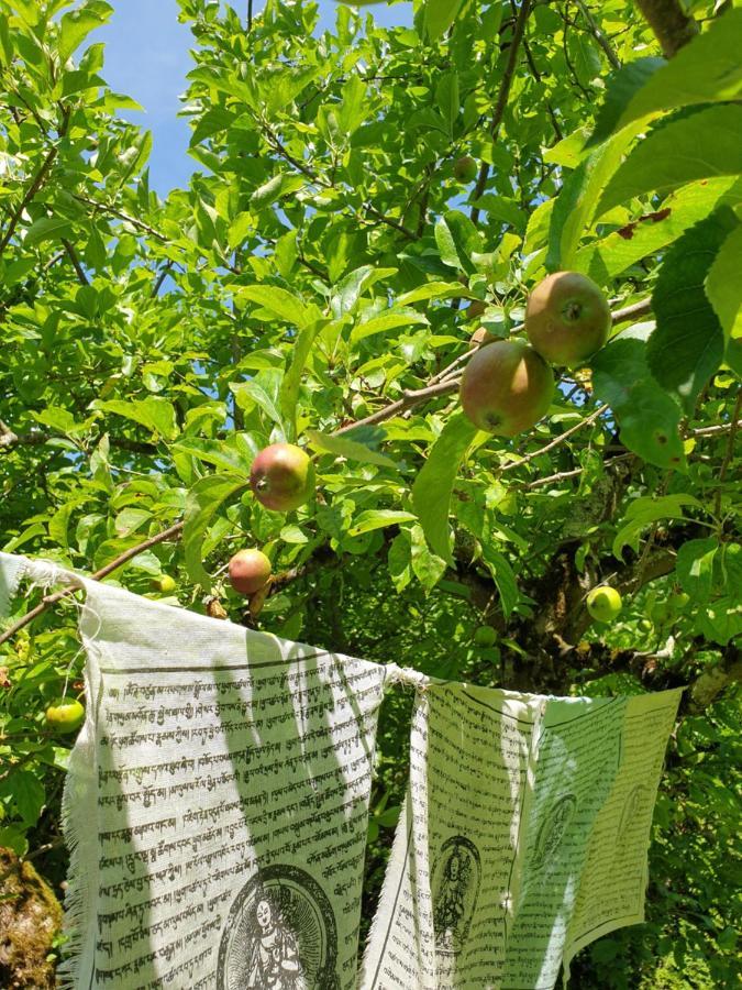 Roches Agreable Chambre D'Hotes, Au Calme, Dans La Nature מראה חיצוני תמונה