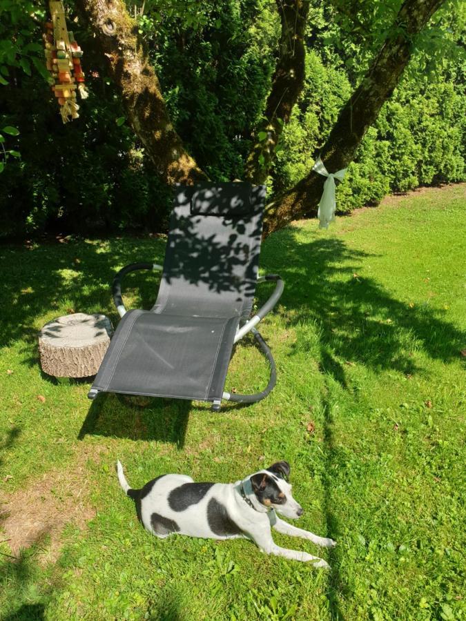 Roches Agreable Chambre D'Hotes, Au Calme, Dans La Nature מראה חיצוני תמונה