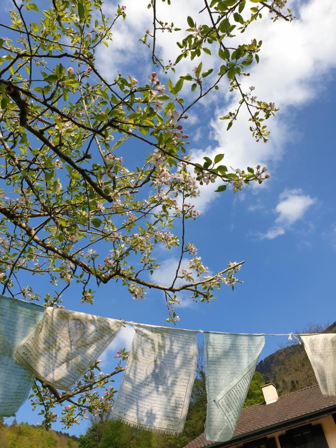 Roches Agreable Chambre D'Hotes, Au Calme, Dans La Nature מראה חיצוני תמונה