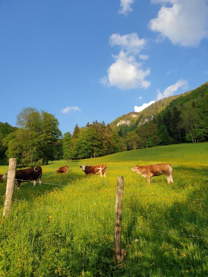 Roches Agreable Chambre D'Hotes, Au Calme, Dans La Nature מראה חיצוני תמונה