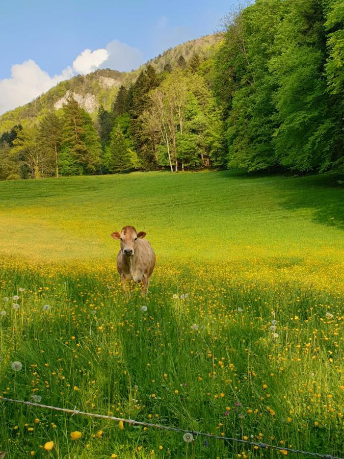 Roches Agreable Chambre D'Hotes, Au Calme, Dans La Nature מראה חיצוני תמונה